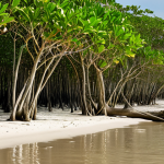 A serene, resilient coastal landscape demonstrating Nature-Based Solutions (NBS) against rising sea levels. Focus on lush, dense mangrove forests and vibrant salt marshes forming natural protective barriers against ocean waves. Show intricate root systems stabilizing the shore, with healthy coastal dunes reinforced by natural vegetation in the foreground. The scene emphasizes ecological harmony, biodiversity (e.g., subtle marine life or birds), and sustainable protection, bathed in warm, natural light.
