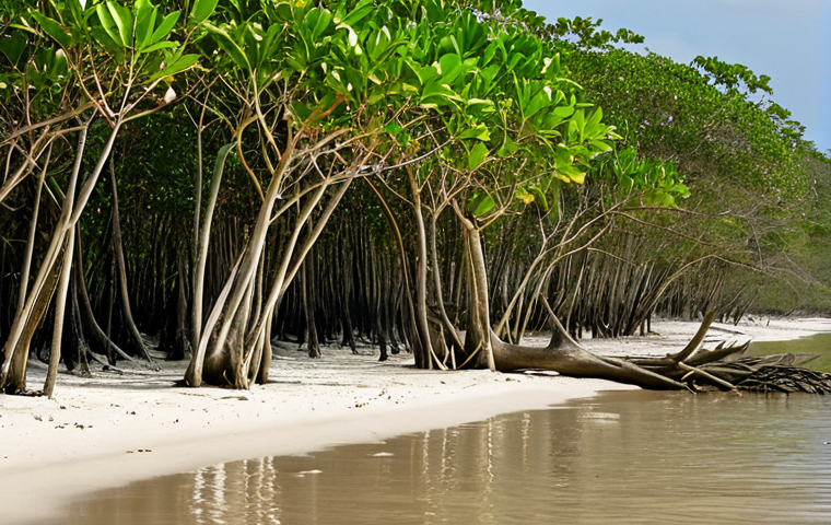 A serene, resilient coastal landscape demonstrating Nature-Based Solutions (NBS) against rising sea levels. Focus on lush, dense mangrove forests and vibrant salt marshes forming natural protective barriers against ocean waves. Show intricate root systems stabilizing the shore, with healthy coastal dunes reinforced by natural vegetation in the foreground. The scene emphasizes ecological harmony, biodiversity (e.g., subtle marine life or birds), and sustainable protection, bathed in warm, natural light.